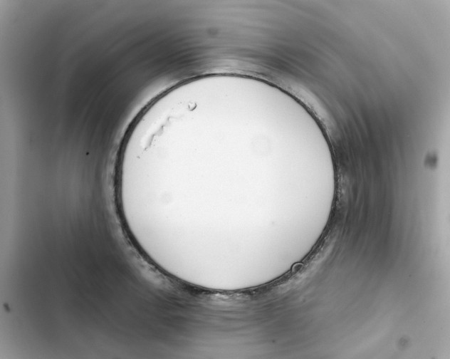 X0000102001138200808151441