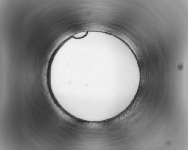 X0000102001139200808151441