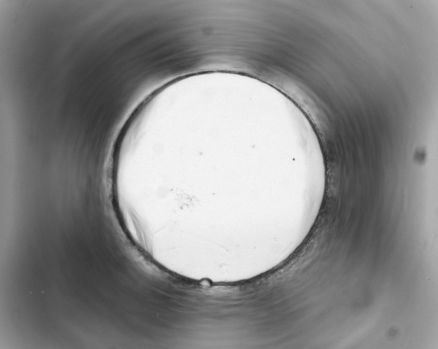 X0000102001140200808151441