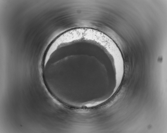 X0000102001141200808151441