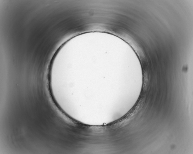 X0000102001142200808151441