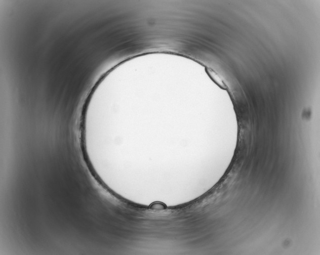 X0000102001143200808151441