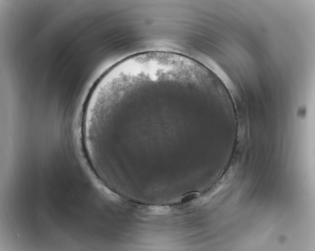 X0000102001144200808151441