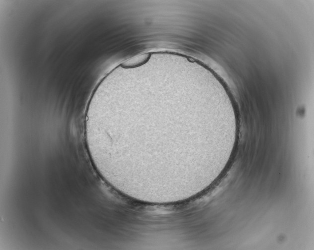 X0000102001145200808151441