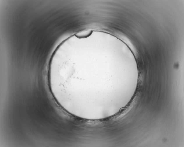 X0000102001146200808151441