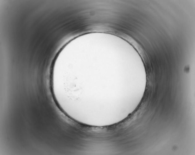 X0000102001147200808151441