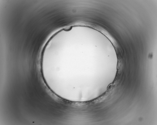 X0000102001148200808151441