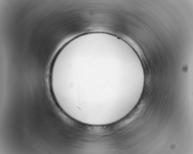 X0000102001149200808151441