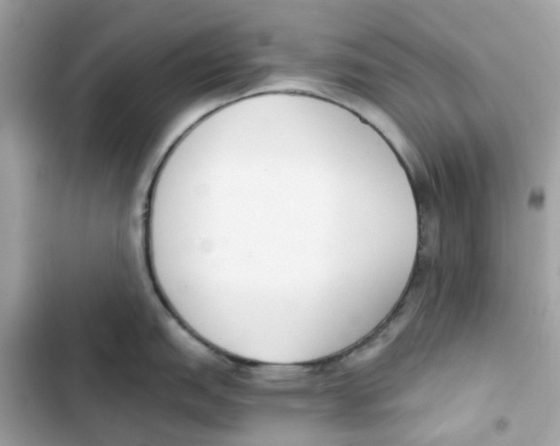 X0000102001151200808151441