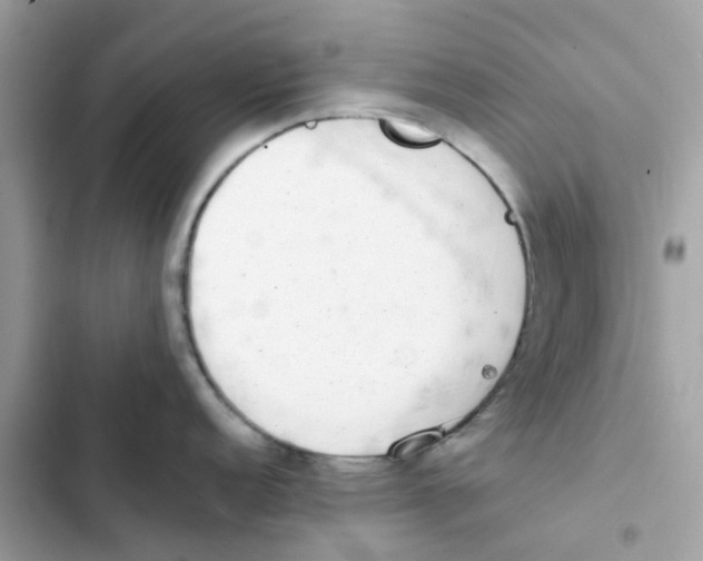 X0000102001152200808151441