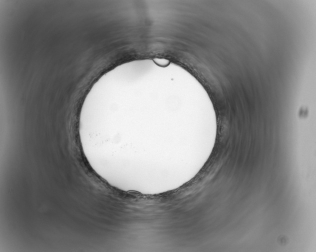 X0000102001153200808151440