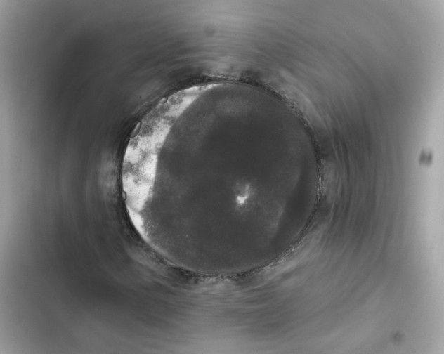 X0000102001154200808151440