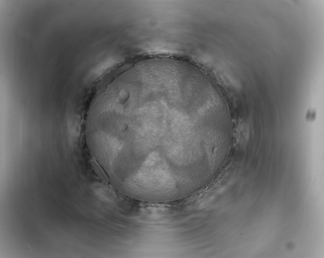 X0000102001157200808151440