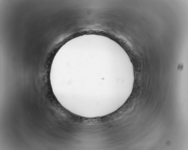 X0000102001159200808151440