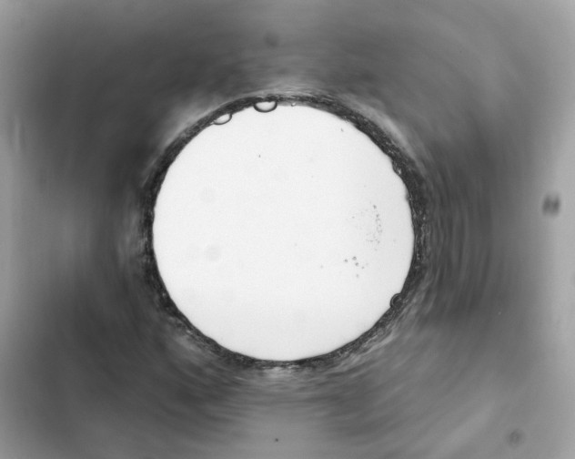 X0000102001160200808151440