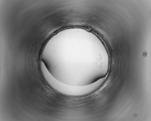 X0000102001161200808151440