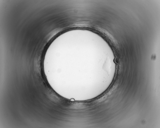 X0000102001162200808151440