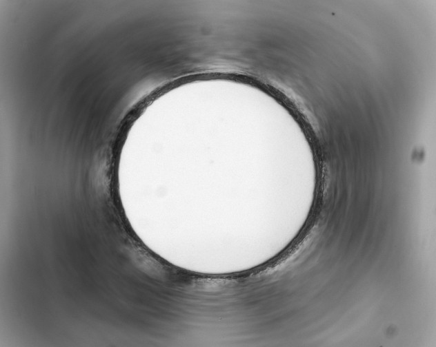 X0000102001163200808151440