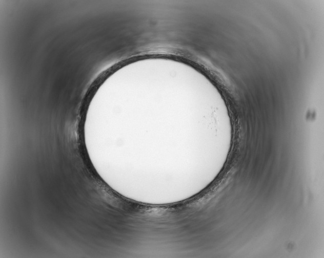 X0000102001166200808151440