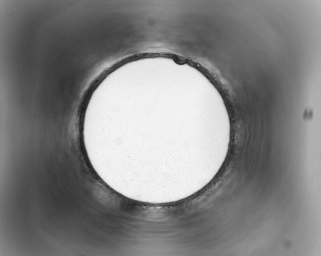 X0000102001167200808151440