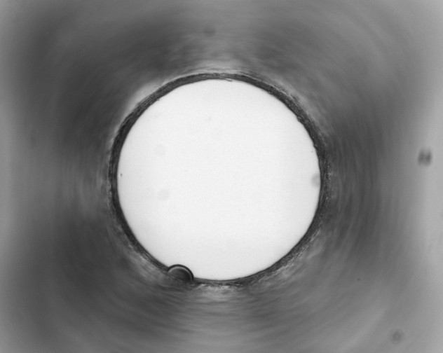 X0000102001168200808151440