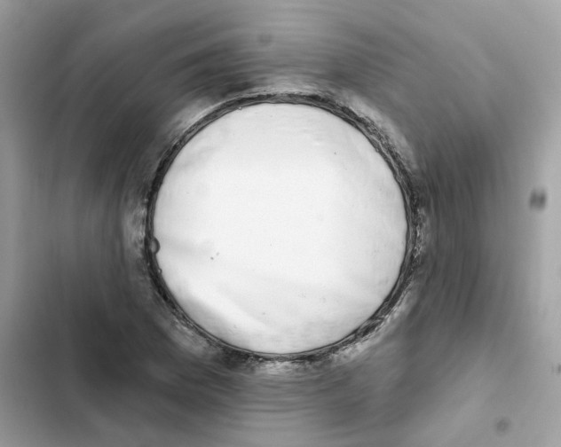 X0000102001169200808151440