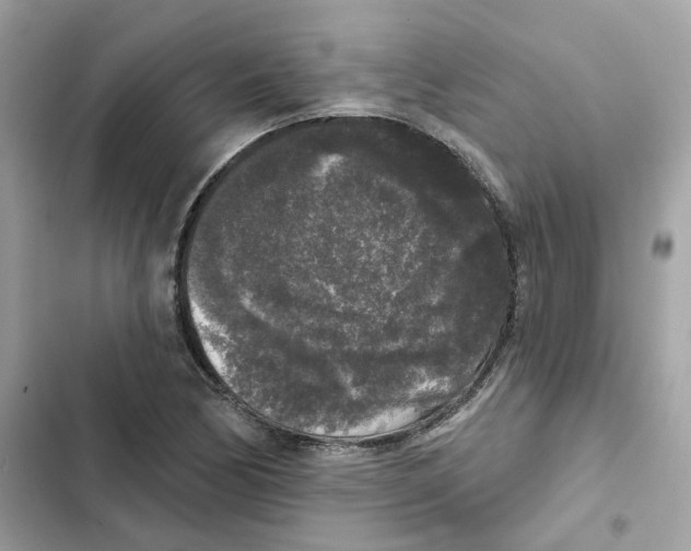 X0000102001170200808151440