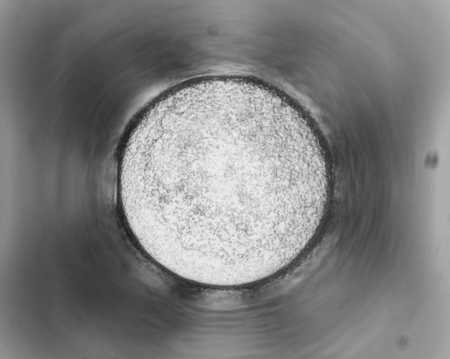 X0000102001171200808151440