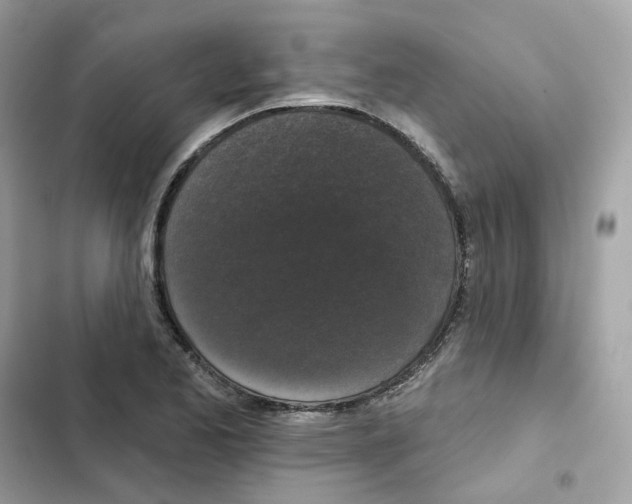 X0000102001173200808151440