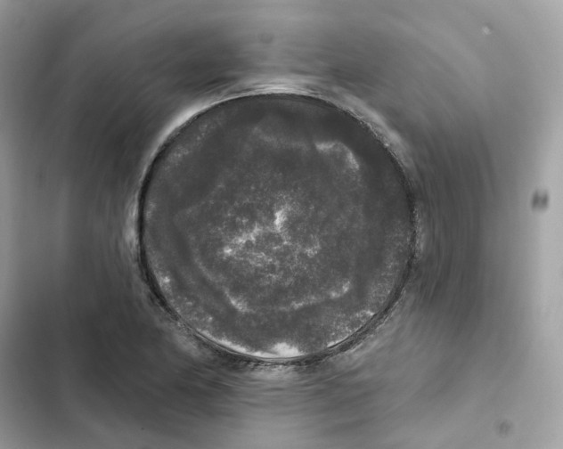 X0000102001174200808151440