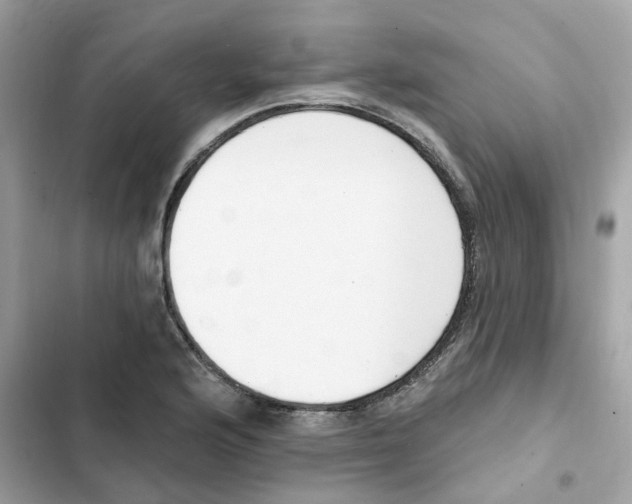 X0000102001176200808151440