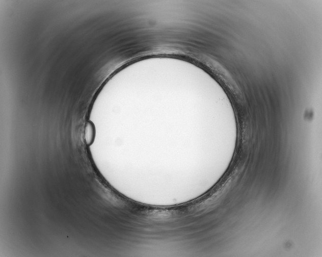 X0000102001177200808151440