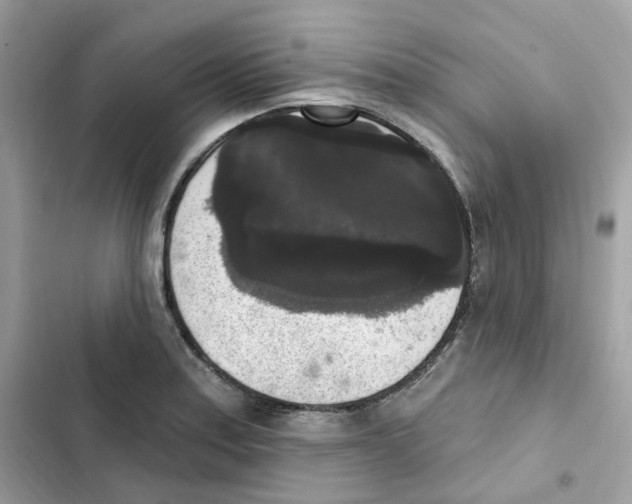 X0000102001179200808151440