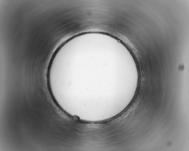 X0000102001181200808151440