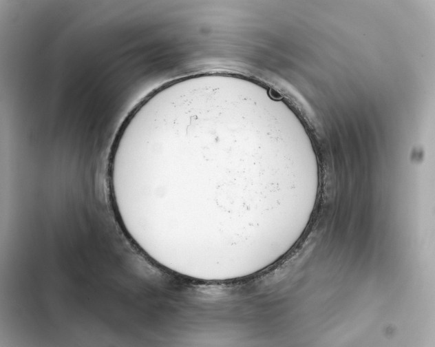 X0000102001182200808151440