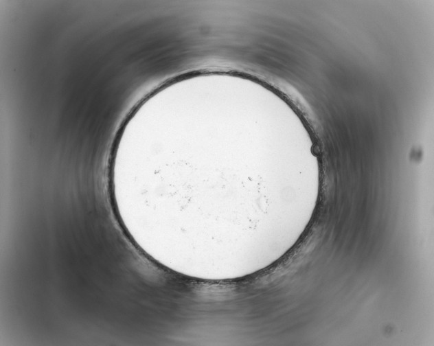 X0000102001183200808151440