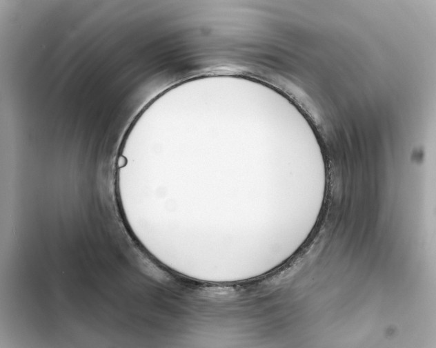 X0000102001186200808151440