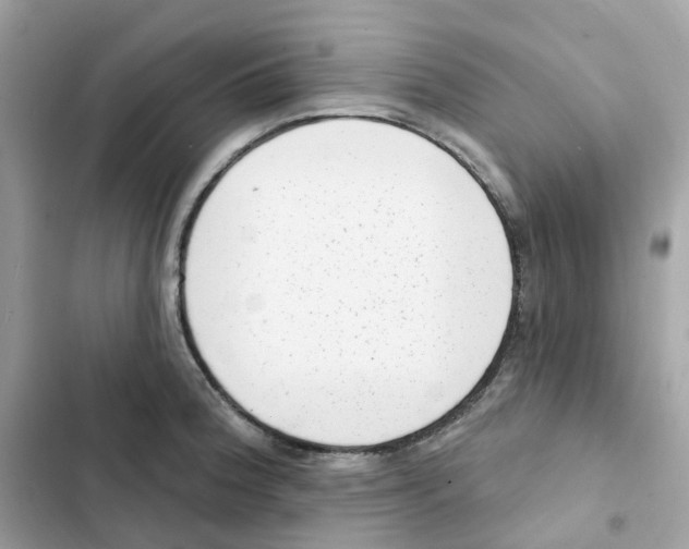 X0000102001188200808151440