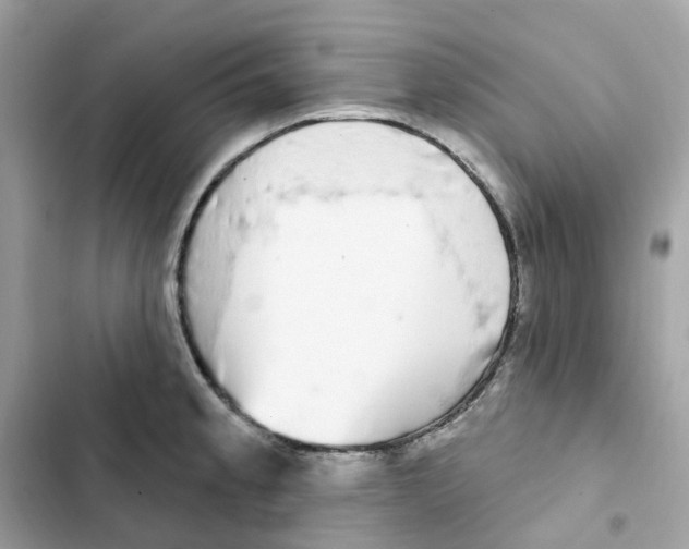 X0000102001189200808151440