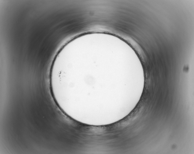 X0000102001191200808151440