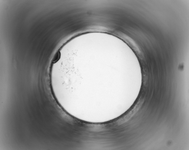 X0000102001192200808151440