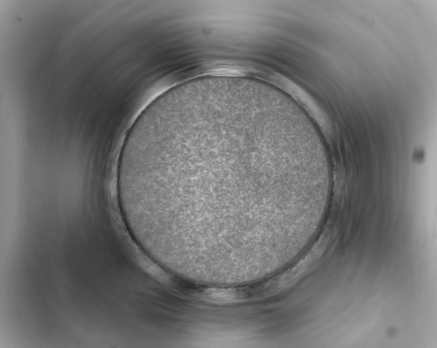 X0000102001194200808151440