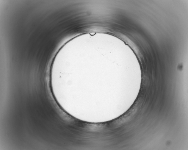 X0000102001195200808151440