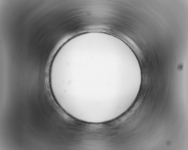 X0000102001196200808151440