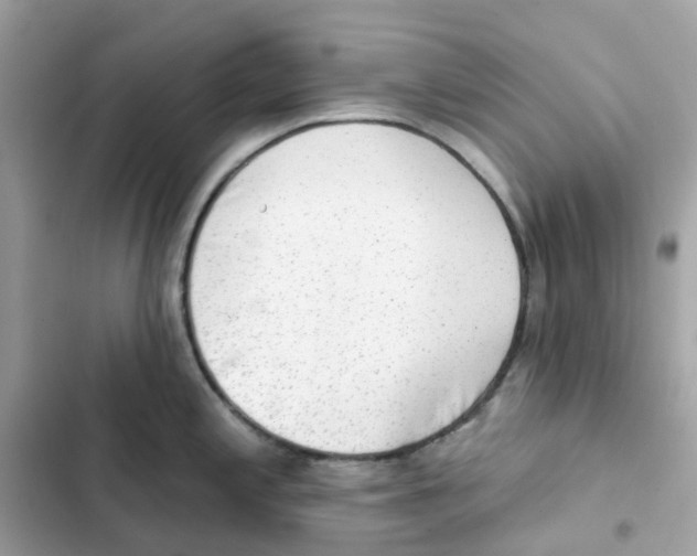 X0000102001197200808151440