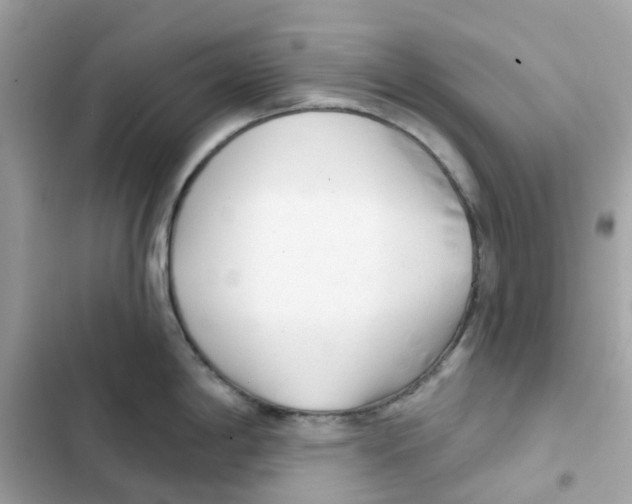 X0000102001198200808151440