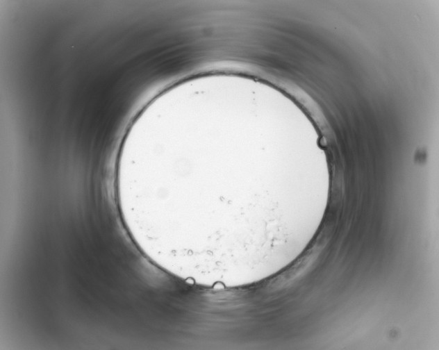 X0000102001199200808151440