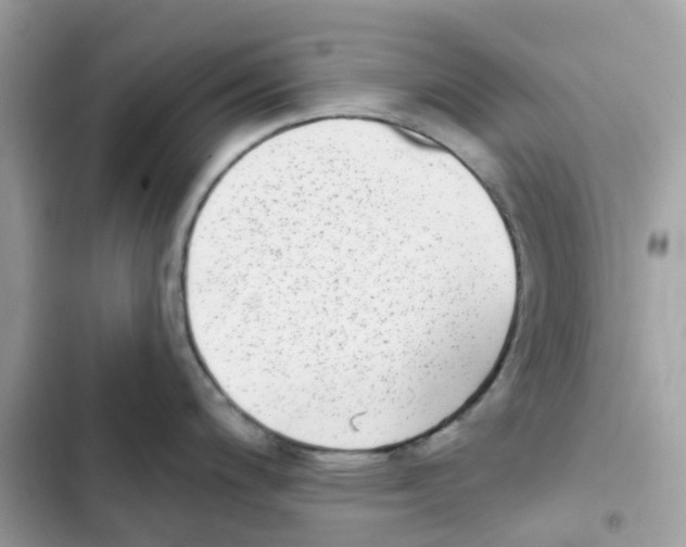 X0000102001200200808151440