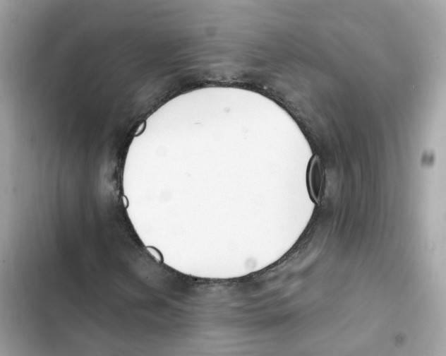 X0000102001202200808151439