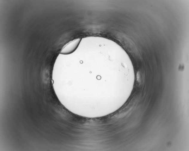 X0000102001203200808151439